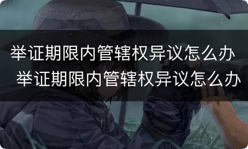 举证期限内管辖权异议怎么办 举证期限内管辖权异议怎么办的