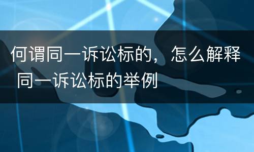 何谓同一诉讼标的，怎么解释 同一诉讼标的举例