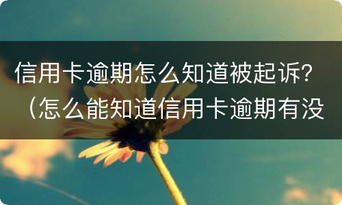 信用卡逾期怎么知道被起诉？（怎么能知道信用卡逾期有没有被起诉）