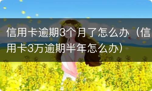 信用卡逾期3个月了怎么办（信用卡3万逾期半年怎么办）