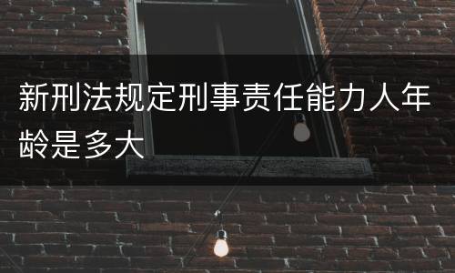 新刑法规定刑事责任能力人年龄是多大