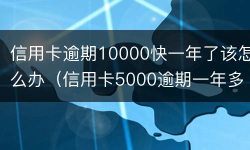 信用卡逾期10000快一年了该怎么办（信用卡5000逾期一年多了怎么办）