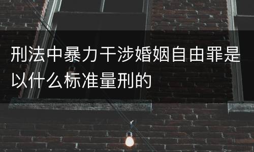刑法中暴力干涉婚姻自由罪是以什么标准量刑的