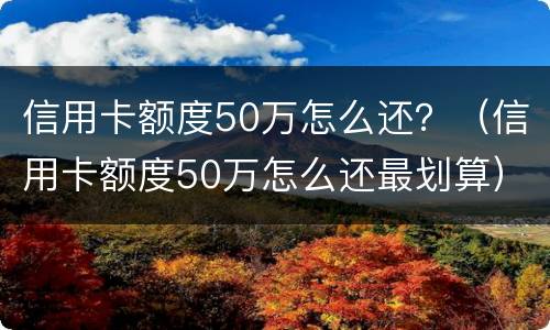信用卡额度50万怎么还？（信用卡额度50万怎么还最划算）