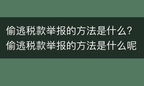 偷逃税款举报的方法是什么? 偷逃税款举报的方法是什么呢