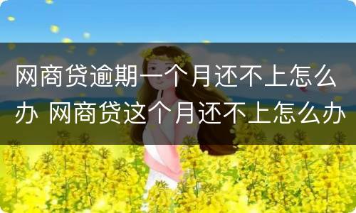 网商贷逾期一个月还不上怎么办 网商贷这个月还不上怎么办