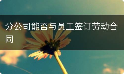分公司能否与员工签订劳动合同