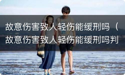 故意伤害致人轻伤能缓刑吗（故意伤害致人轻伤能缓刑吗判几年）