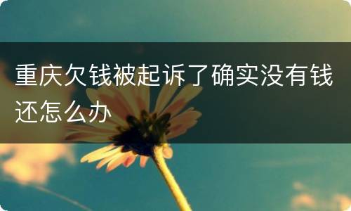 重庆欠钱被起诉了确实没有钱还怎么办