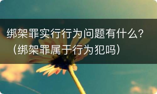 绑架罪实行行为问题有什么？（绑架罪属于行为犯吗）