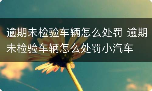 逾期未检验车辆怎么处罚 逾期未检验车辆怎么处罚小汽车