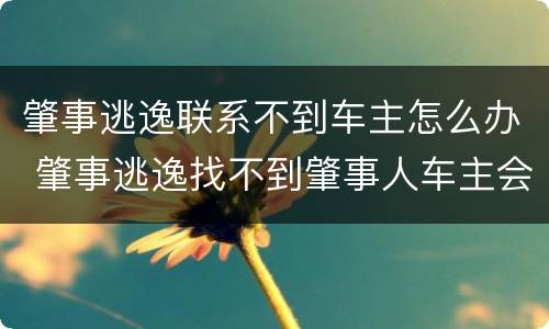 肇事逃逸联系不到车主怎么办 肇事逃逸找不到肇事人车主会怎么办