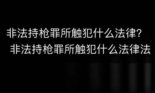 非法持枪罪所触犯什么法律？ 非法持枪罪所触犯什么法律法规