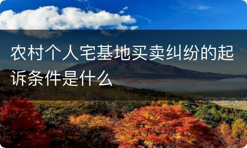 农村个人宅基地买卖纠纷的起诉条件是什么