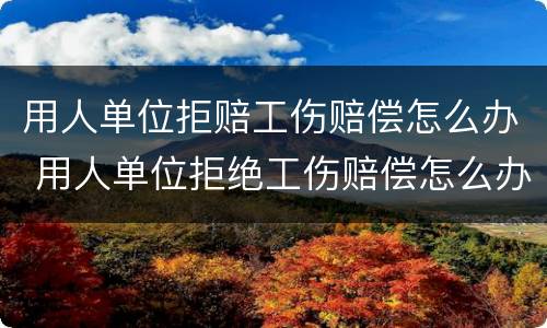 用人单位拒赔工伤赔偿怎么办 用人单位拒绝工伤赔偿怎么办