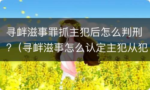 寻衅滋事罪抓主犯后怎么判刑?（寻衅滋事怎么认定主犯从犯）
