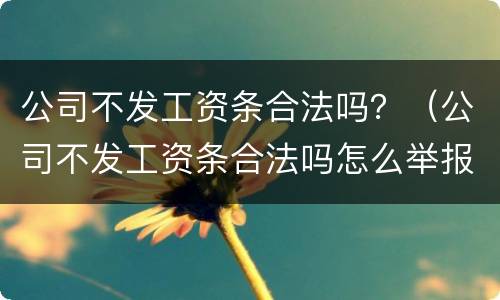 公司不发工资条合法吗？（公司不发工资条合法吗怎么举报）