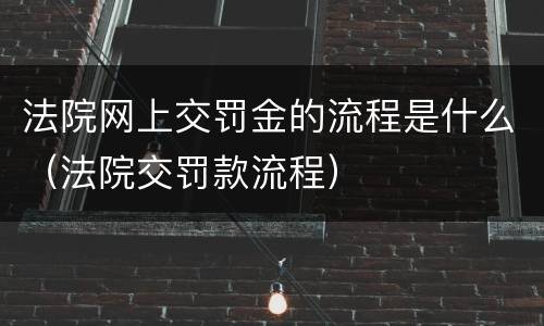法院网上交罚金的流程是什么（法院交罚款流程）
