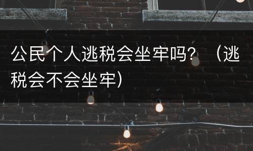 公民个人逃税会坐牢吗？（逃税会不会坐牢）
