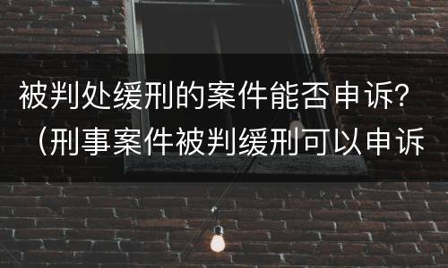被判处缓刑的案件能否申诉？（刑事案件被判缓刑可以申诉改判吗?）