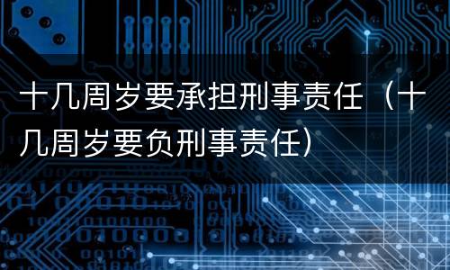 十几周岁要承担刑事责任（十几周岁要负刑事责任）