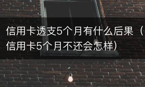 信用卡透支5个月有什么后果（信用卡5个月不还会怎样）