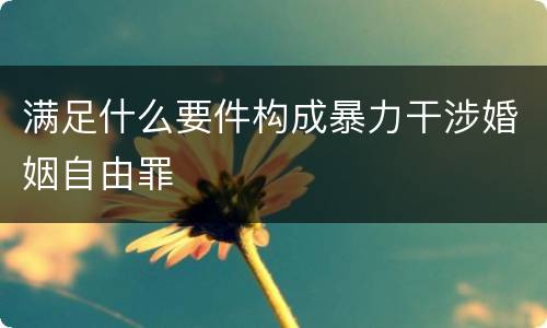 满足什么要件构成暴力干涉婚姻自由罪
