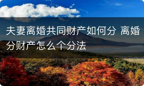 夫妻离婚共同财产如何分 离婚分财产怎么个分法
