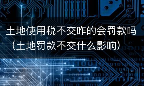 土地使用税不交咋的会罚款吗（土地罚款不交什么影响）