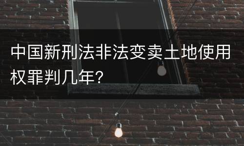 中国新刑法非法变卖土地使用权罪判几年？