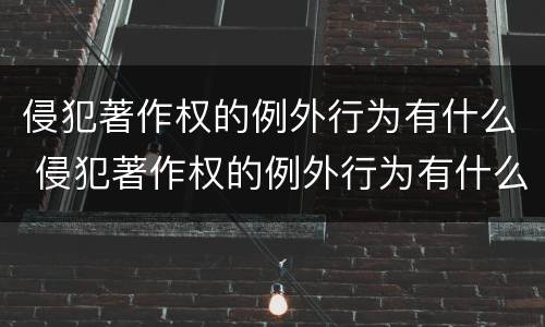 侵犯著作权的例外行为有什么 侵犯著作权的例外行为有什么影响