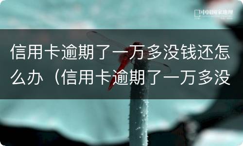 信用卡逾期了一万多没钱还怎么办（信用卡逾期了一万多没钱还怎么办理）