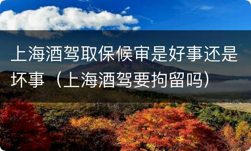 上海酒驾取保候审是好事还是坏事（上海酒驾要拘留吗）
