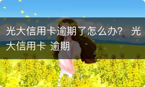 光大信用卡逾期了怎么办？ 光大信用卡 逾期