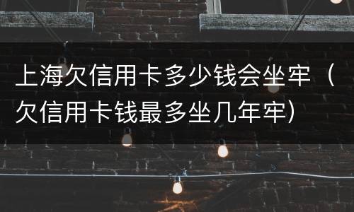 上海欠信用卡多少钱会坐牢（欠信用卡钱最多坐几年牢）