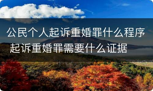 公民个人起诉重婚罪什么程序 起诉重婚罪需要什么证据