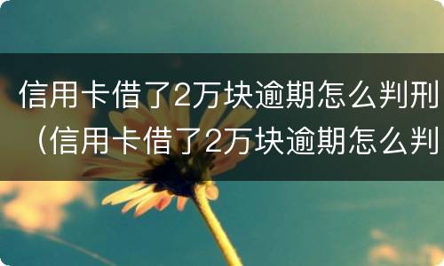 信用卡借了2万块逾期怎么判刑（信用卡借了2万块逾期怎么判刑的）