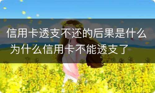 信用卡透支不还的后果是什么 为什么信用卡不能透支了