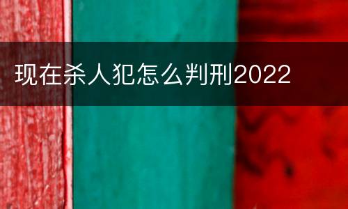 现在杀人犯怎么判刑2022