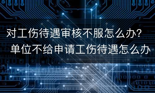 对工伤待遇审核不服怎么办？ 单位不给申请工伤待遇怎么办