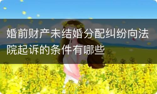 婚前财产未结婚分配纠纷向法院起诉的条件有哪些