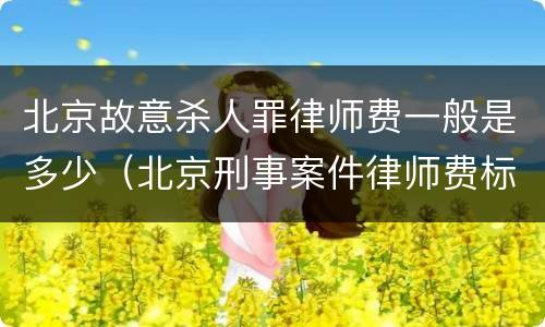 北京故意杀人罪律师费一般是多少（北京刑事案件律师费标准）