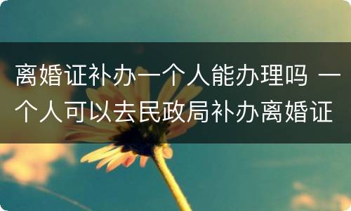 离婚证补办一个人能办理吗 一个人可以去民政局补办离婚证吗