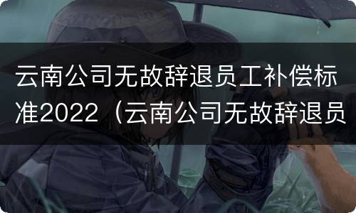 云南公司无故辞退员工补偿标准2022（云南公司无故辞退员工补偿标准2022年）