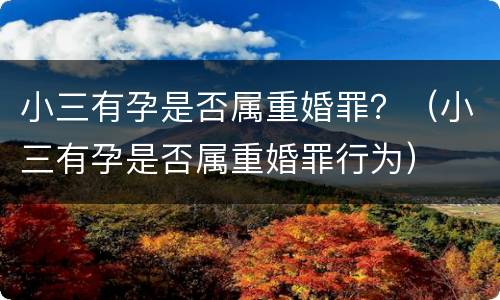 小三有孕是否属重婚罪？（小三有孕是否属重婚罪行为）