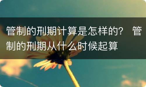 管制的刑期计算是怎样的？ 管制的刑期从什么时候起算