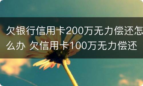 欠银行信用卡200万无力偿还怎么办 欠信用卡100万无力偿还