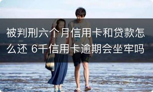 被判刑六个月信用卡和贷款怎么还 6千信用卡逾期会坐牢吗