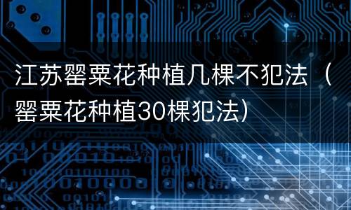 江苏罂粟花种植几棵不犯法（罂粟花种植30棵犯法）