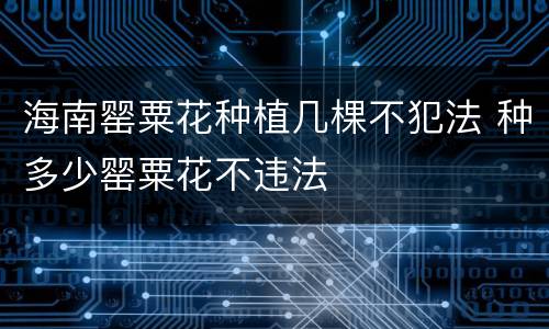 海南罂粟花种植几棵不犯法 种多少罂粟花不违法